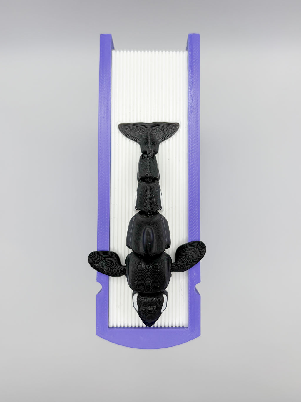 Nova the Orca Whale bookmark topper top view