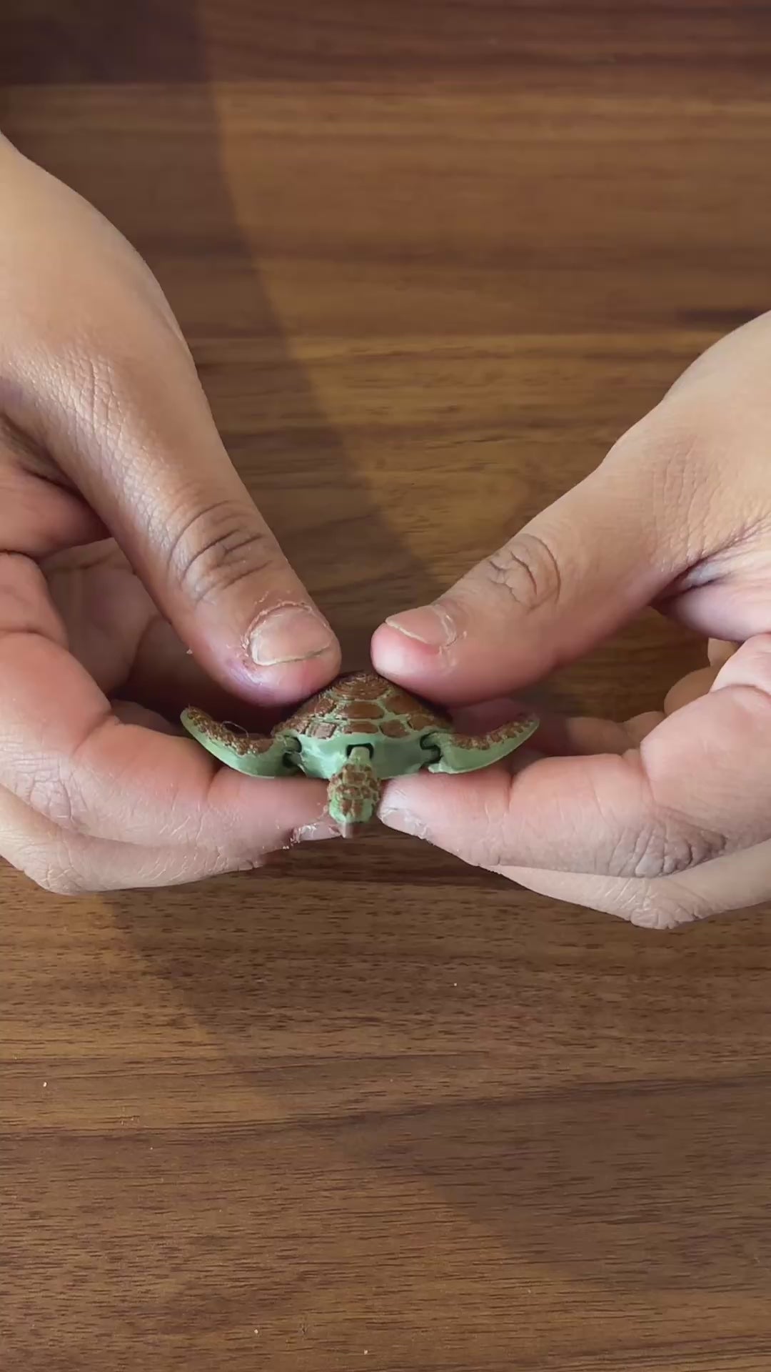 Tim the Turtle bookmark topper clipped onto striped bookmark